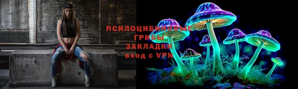 меф Богородицк