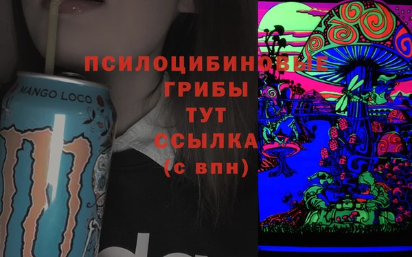 марки nbome Бородино