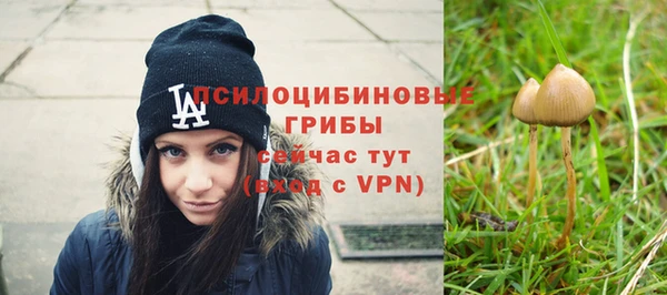меф Богородицк