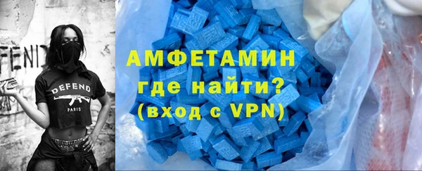 сатива Богданович
