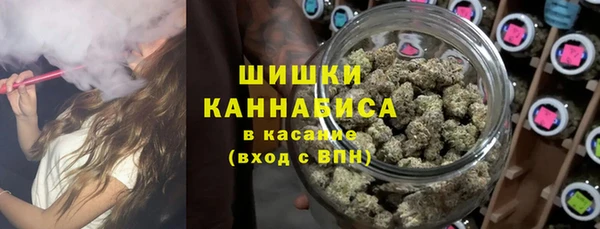 сатива Богданович