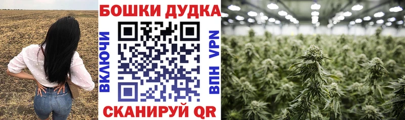 МАРИХУАНА SATIVA & INDICA  KRAKEN рабочий сайт  Дзержинск 